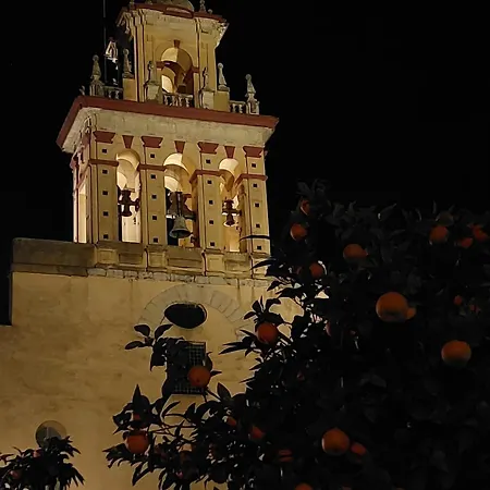 公寓 San Agustin Nº 1 科爾多瓦