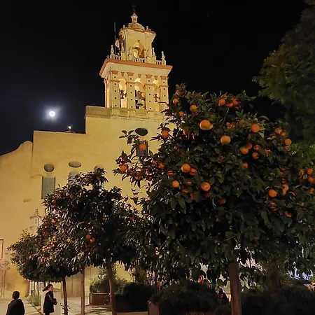 San Agustín Nº 1