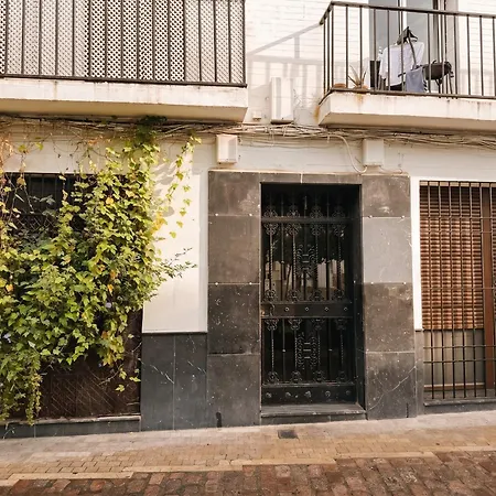 San Agustín Nº 1
